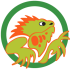 Iguana Tours